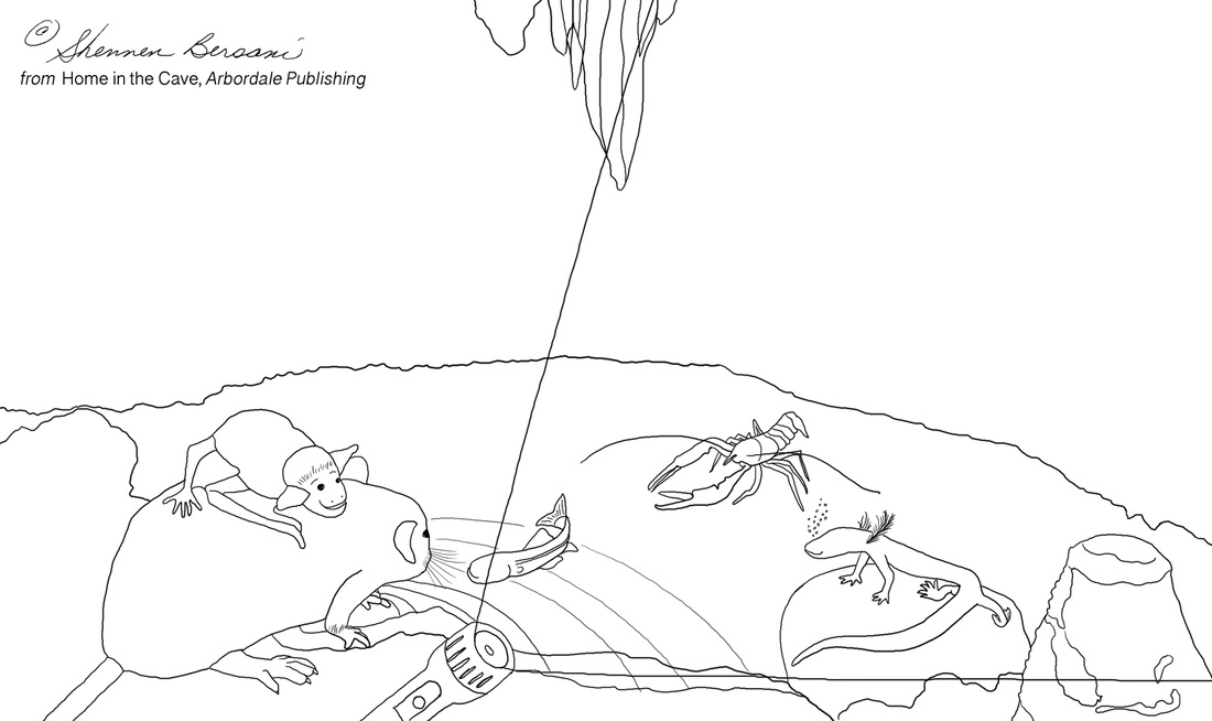 Blind catfish in cave coloring page.  Shennen Bersani