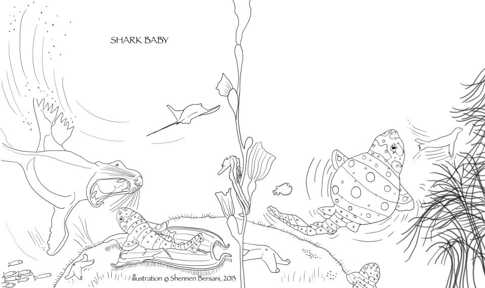 Shark Baby coloring page Shennen Bersani
