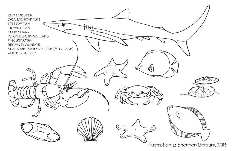 Ocean life coloring page. Shennen Bersani