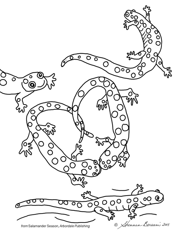 Spotted salamander love coloring page. Shennen Bersani