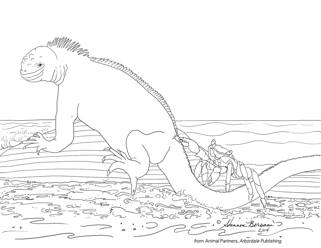 Sally Lightfoot and Marine Iguana Animal Partners coloring page Shennen Bersani
