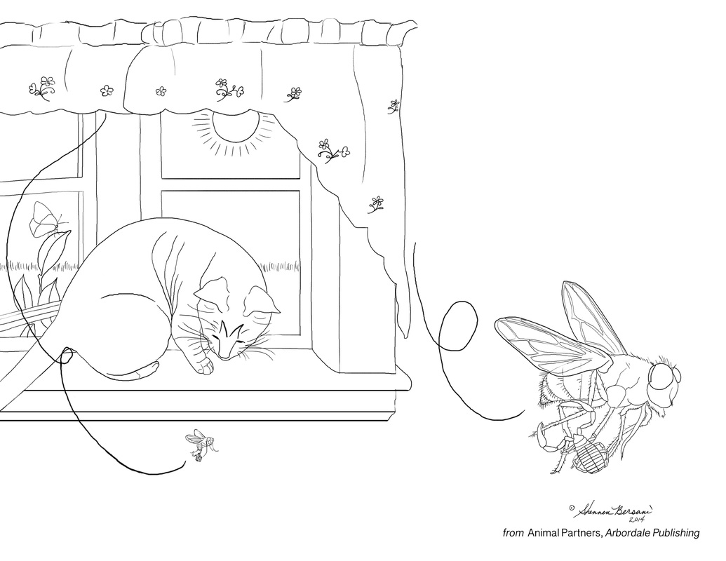 Bottle fly and false scorpion Animal Partners coloring page Shennen Bersani