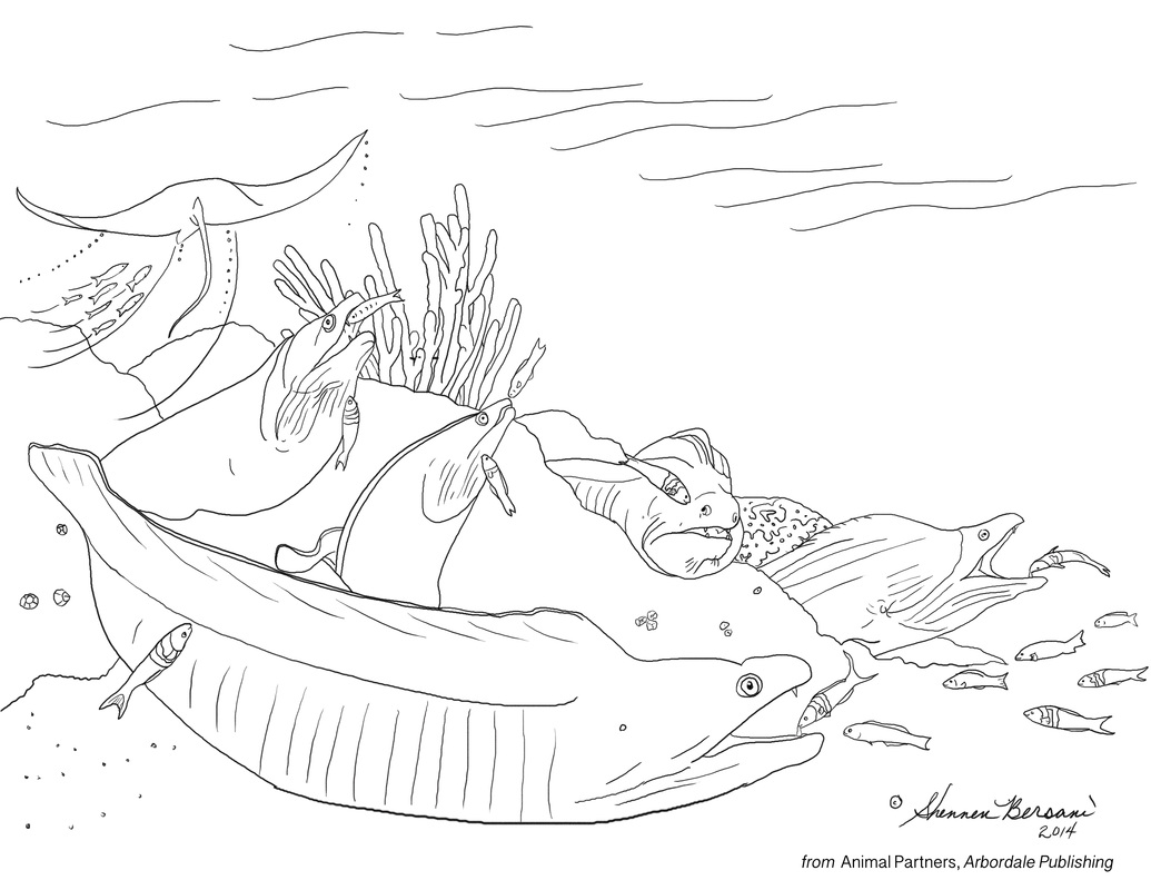 cleaning station, cleaner fish and moray eels Animal Partners coloring page Shennen Bersani