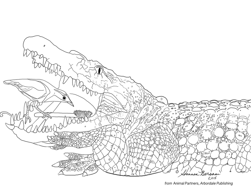 crocodile and plover coloring page Shennen Bersani